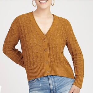 J. Crew Point Sur Textured V-neck Cardigan Sweater